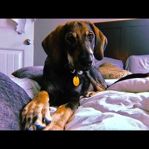 Meet your Posher, Erin